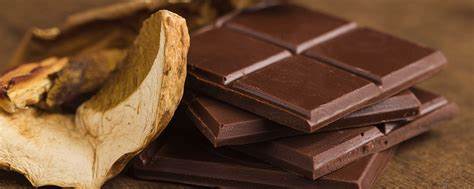 Mushroom Chocolate Edibles